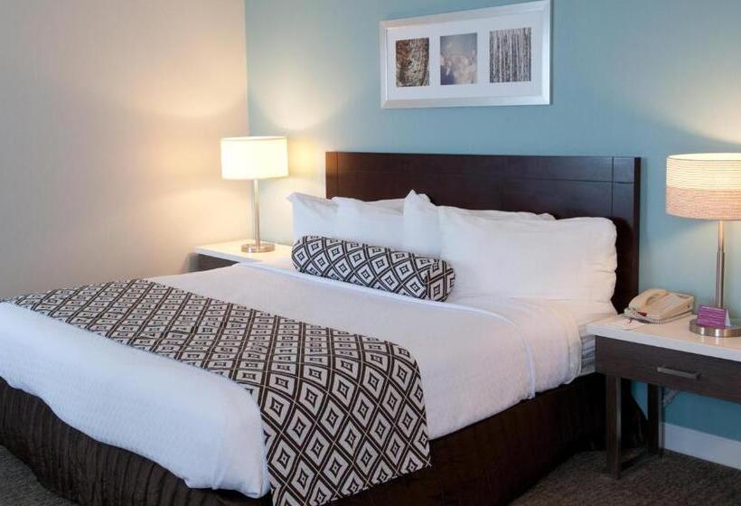 장애인을 위한 스탠다드 룸, Crowne Plaza Hotel And Suites Pittsburgh South, An Ihg