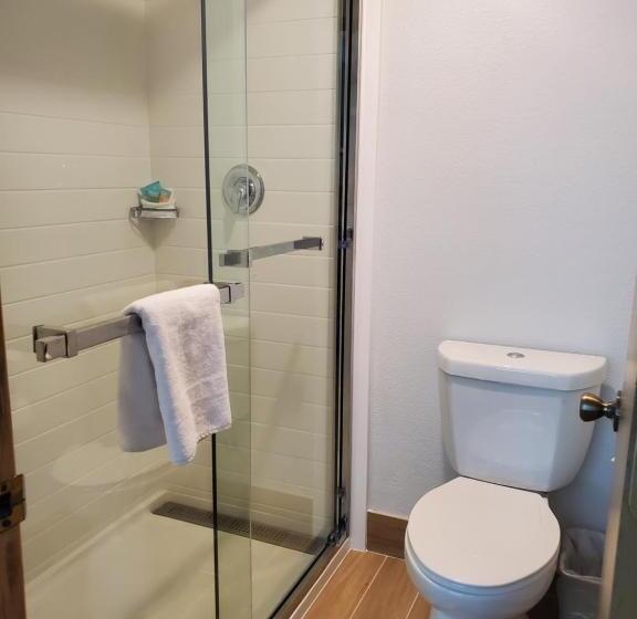 Büyük Çift Kişilik Yataklı Standart Oda, Thea Tacoma, Ascend Hotel Collection
