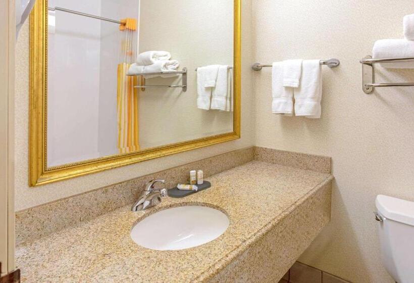 Люкс Deluxe Кровать Кинг, La Quinta By Wyndham Appleton College Avenue