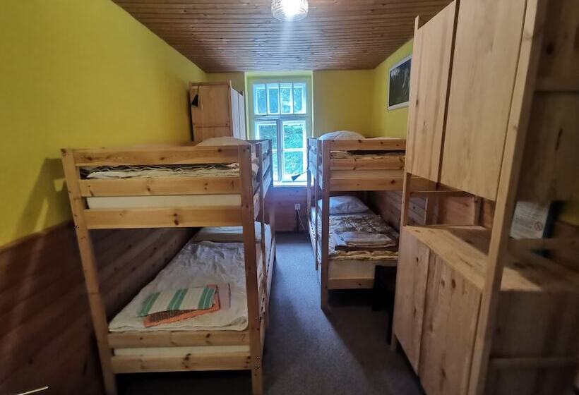 اتاق استاندارد چهارنفره با سرویس بهداشتی مشترک, Hostel Pod Voglom