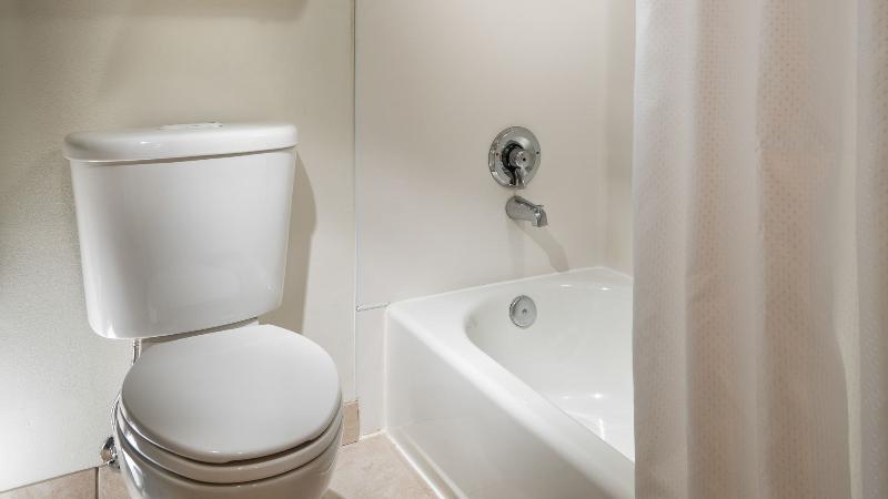 Büyük Çift Kişilik Yataklı Delüks Oda, Staypineapple, University Inn, University District Seattle