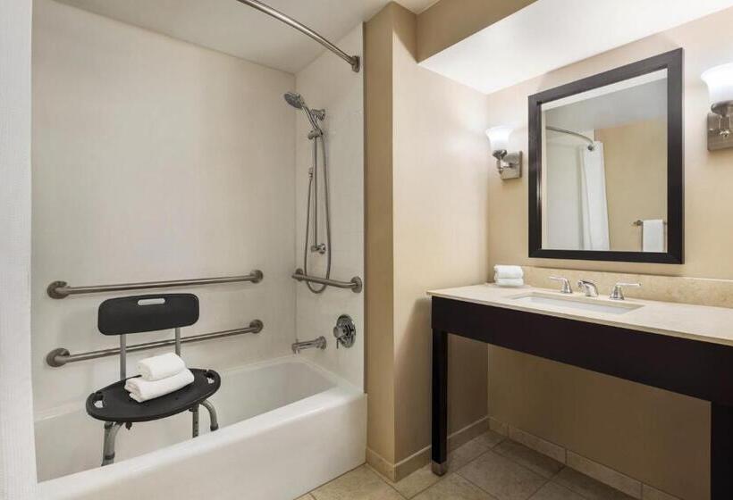 Номер Стандарт Кровать Кинг Адаптированный для Инвалидов, Crowne Plaza Cleveland At Playhouse Square, An Ihg