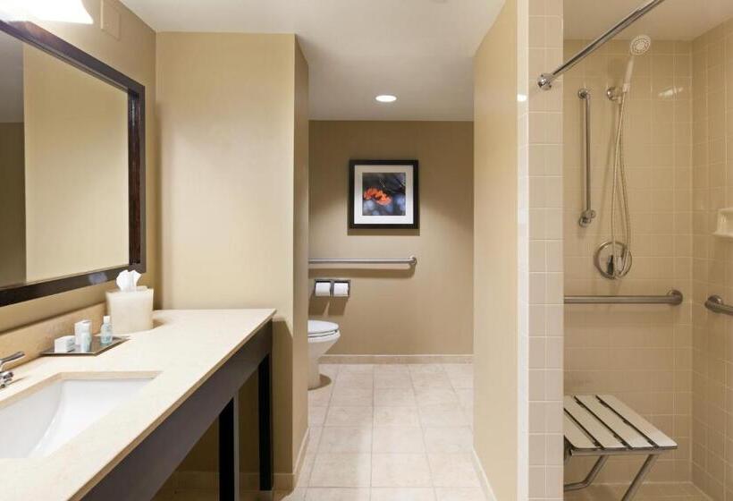 Номер Стандарт Кровать Кинг Адаптированный для Инвалидов, Crowne Plaza Cleveland At Playhouse Square, An Ihg