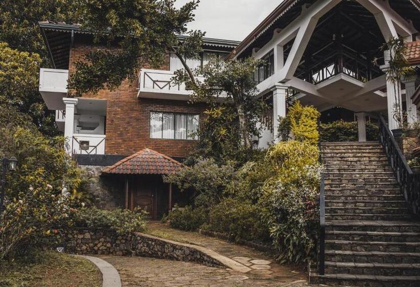 اتاق لوکس, Tree Of Life Nature Resort