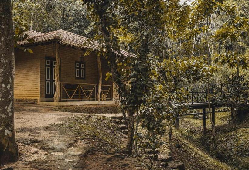 اتاق استاندارد با چشم‌انداز باغ, Tree Of Life Nature Resort
