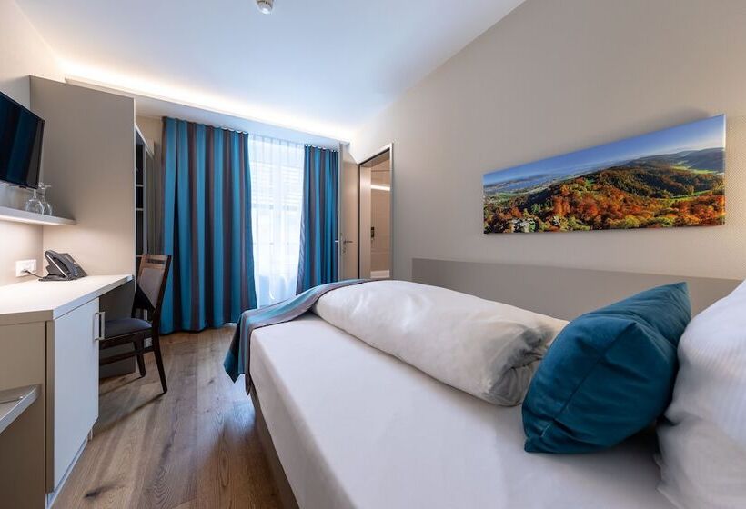 اتاق استاندارد یک نفره, Trip Inn Zurich