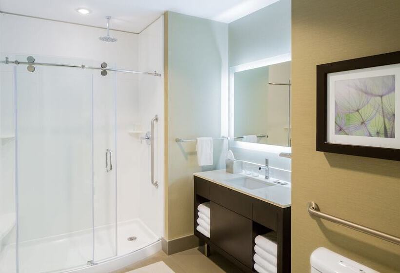 景色の見えるスイートルーム, The Hollis Halifax A Doubletree Suites By Hilton