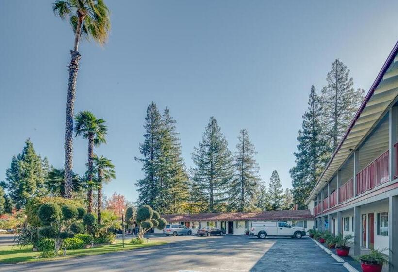 غرفة قياسية, The Palo Alto Inn