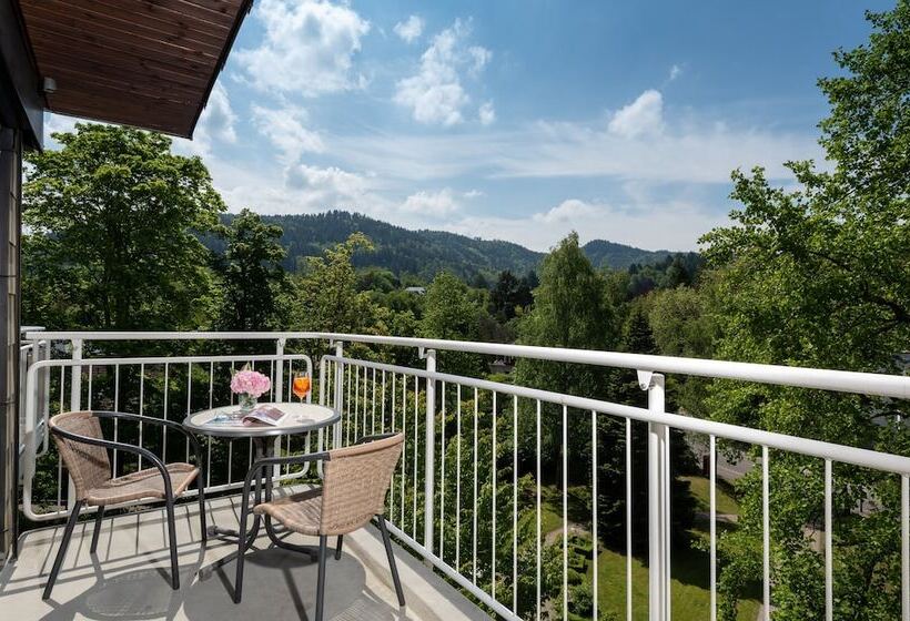 Трехместный Номер Superior, Leonardo Royal Hotel Baden  Baden
