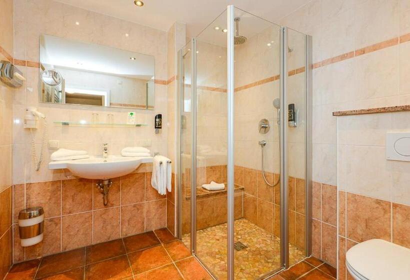 Номер Стандарт Индивидуальный, Stoll S Hotel Alpina