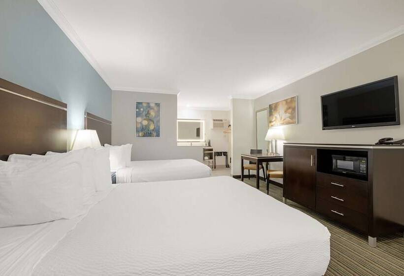 Chambre Standard 2 Lits Doubles, Best Western Courtesy Inn Hotel   Anaheim Resort At The Park