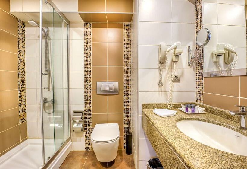 标准间, Best Western Plus Hotel Konak