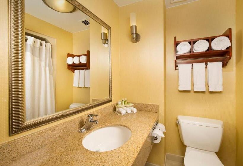 Номер Стандарт Кровать Кинг Адаптированный для Инвалидов, Holiday Inn Express Washington Dc Bw Parkway, An Ihg