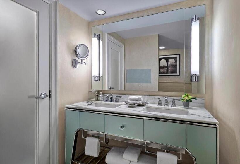 اتاق دلوکس مخصوص معلولین, Loews Regency  New York