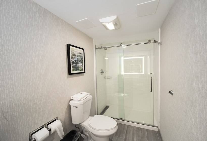 Люкс, Comfort Inn & Suites Wyomissing Reading