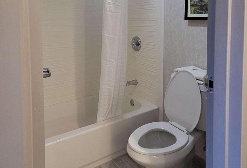 带大床的标准间, Comfort Inn & Suites Wyomissing Reading