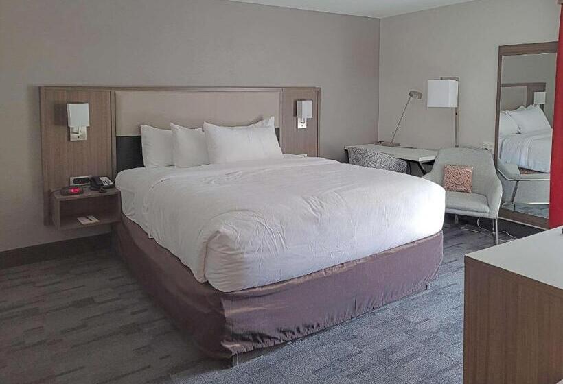 带大床的套房, Comfort Inn & Suites Wyomissing Reading