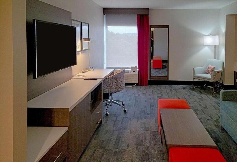 带大床的套房, Comfort Inn & Suites Wyomissing Reading