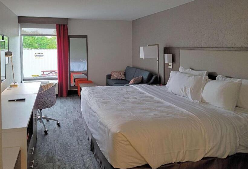 适合残疾人士使用的带超级大床的标准间, Comfort Inn & Suites Wyomissing Reading