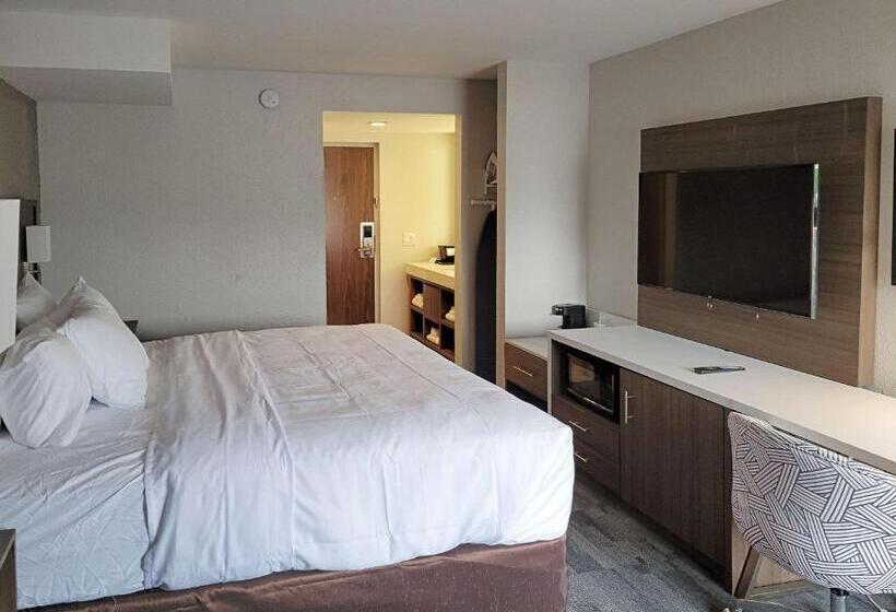 适合残疾人使用的标准间, Comfort Inn & Suites Wyomissing Reading