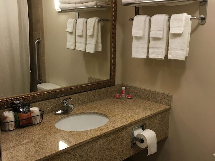 ２ダブルベッドのスタンダードルーム, Econo Lodge Darien Lakes