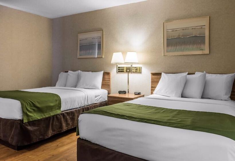스탠다드 룸 더블 침대 2개, Quality Inn Arena