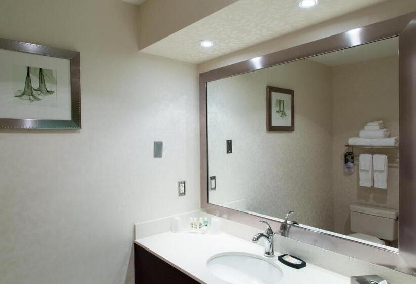 Standardrum, Holiday Inn & Suites Windsor Ambassador Bridge By Ihg