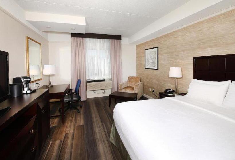 Standardrum King Size Säng, Holiday Inn & Suites Windsor Ambassador Bridge By Ihg