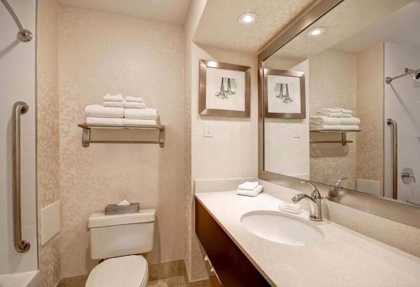 Standardrum, Holiday Inn & Suites Windsor Ambassador Bridge By Ihg