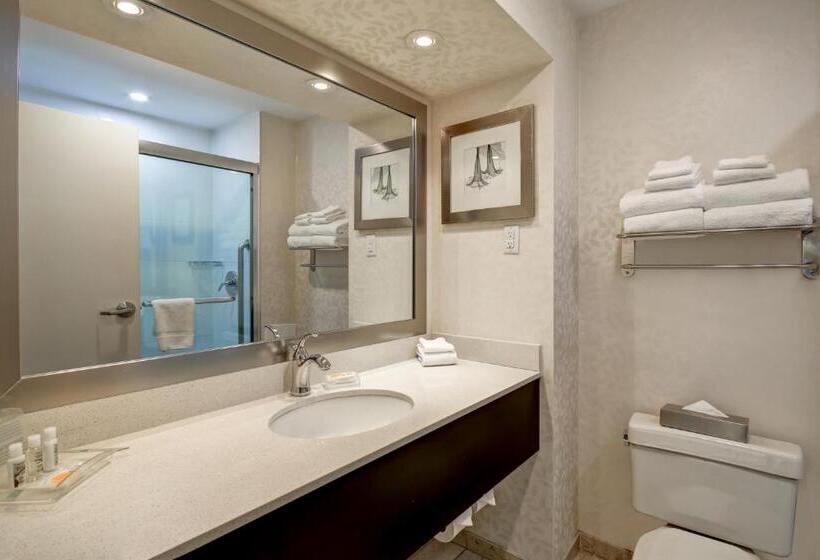Handikappsanpassat Standard Rum, Holiday Inn & Suites Windsor Ambassador Bridge By Ihg