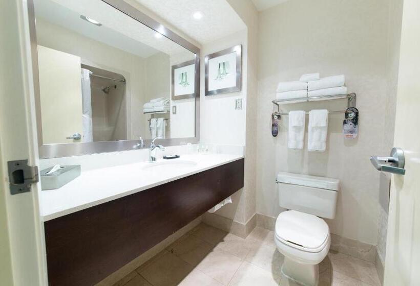 身障者適用スタンダードルーム, Holiday Inn & Suites Windsor Ambassador Bridge By Ihg