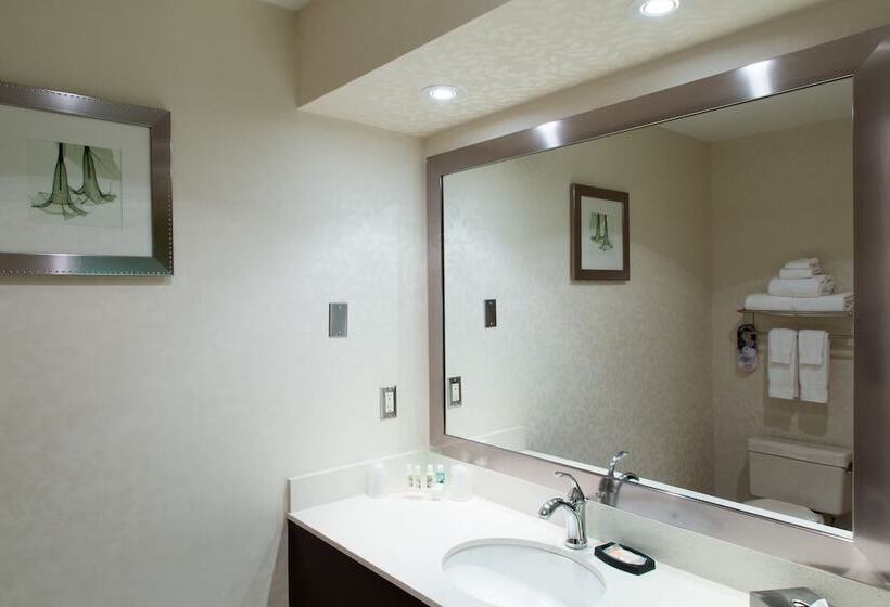 スタンダードルーム, Holiday Inn & Suites Windsor Ambassador Bridge By Ihg