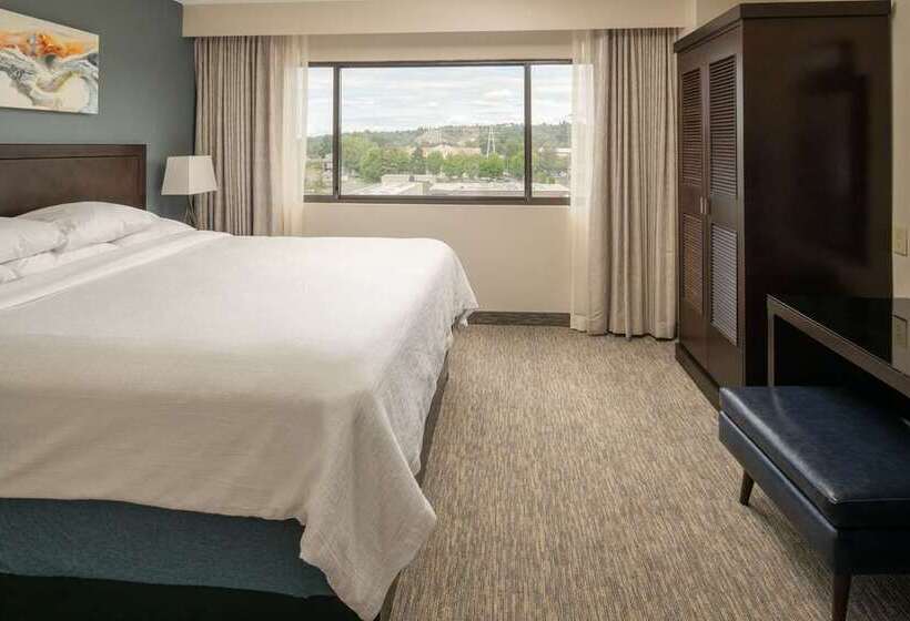 디럭스 스위트 킹 침대, Embassy Suites By Hilton Temecula Valley Wine Country