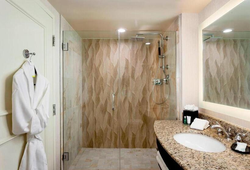 اتاق استاندارد با تخت بزرگ, The Westin Lake Las Vegas Resort & Spa
