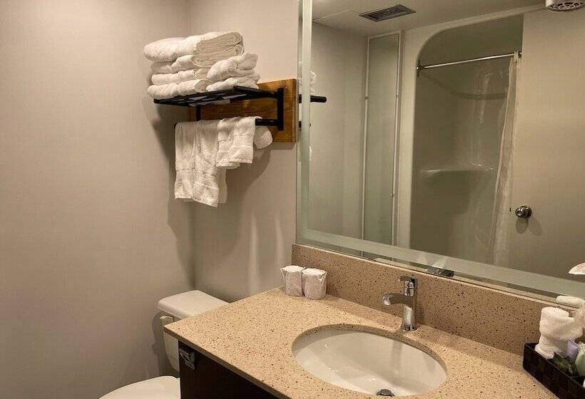 Номер Стандарт 2 Двуспальные Кровати, Auberge De La Gare