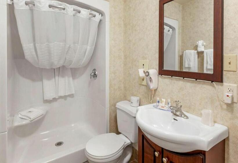 Номер бизнес-класса, Comfort Inn & Suites Thousand Islands Harbour District