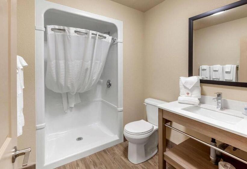 Номер Стандарт, Comfort Inn & Suites Thousand Islands Harbour District