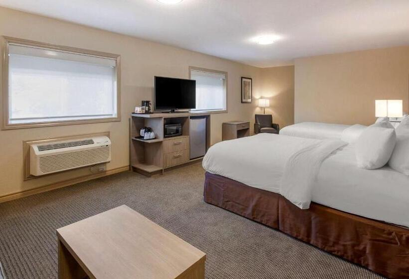 Номер Стандарт, Comfort Inn & Suites Thousand Islands Harbour District