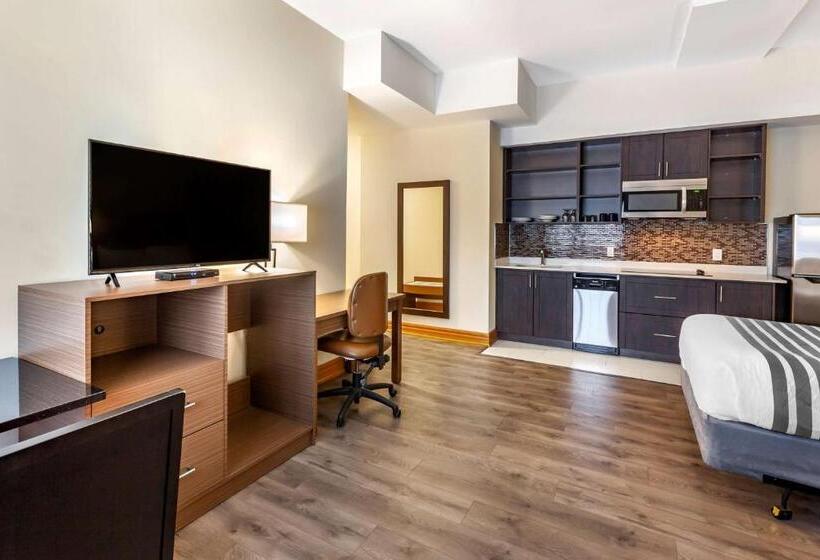 Номер Стандарт 2 Двуспальные Кровати, Surestay Plus Hotel By Best Western Kincardine