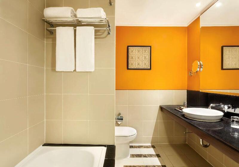 Студия Deluxe, Citadines Wilson Toulouse