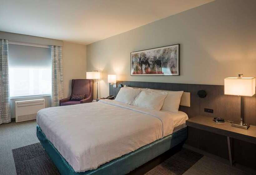Номер Стандарт Кровать Кинг Адаптированный для Инвалидов, Hilton Garden Inn Lansing West