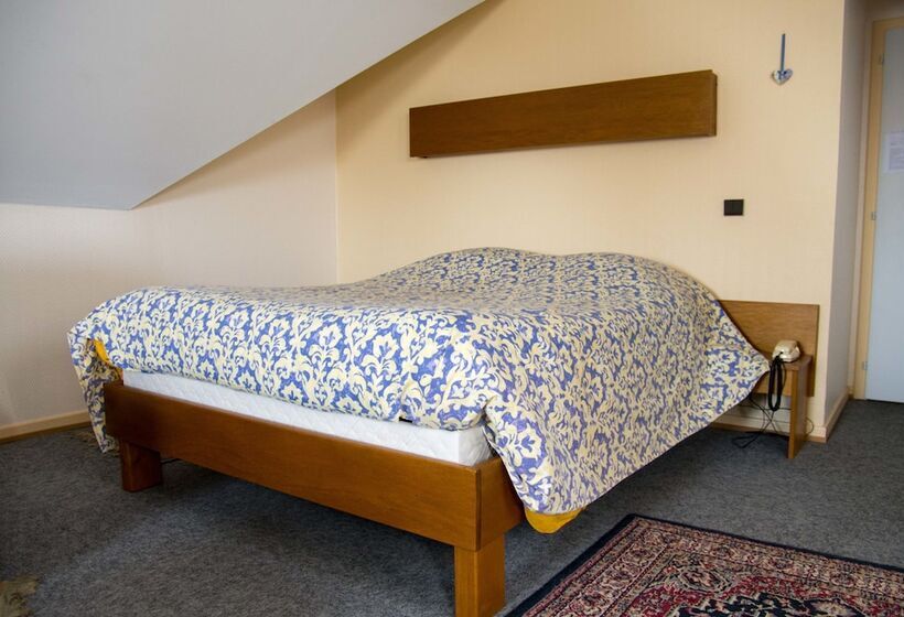 Номер Стандарт, Hôtel De Bâle