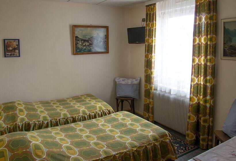 Номер Стандарт, Hôtel De Bâle
