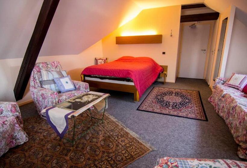 Номер Superior, Hôtel De Bâle