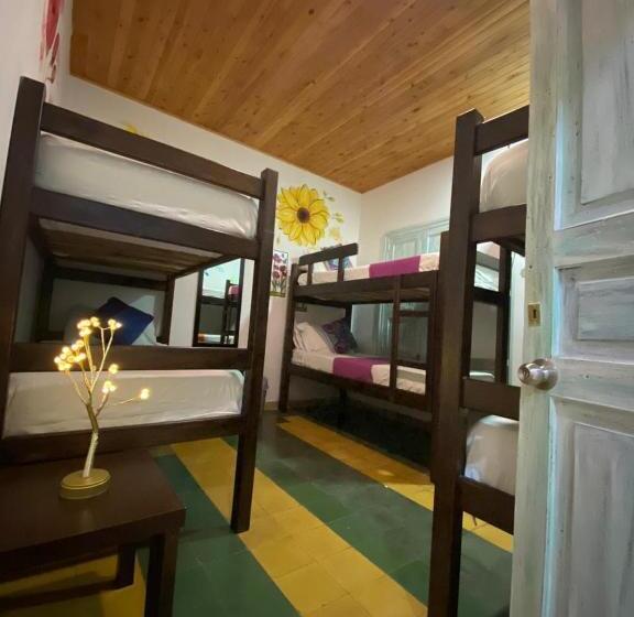 공동 객실, Boutique Stay La 10