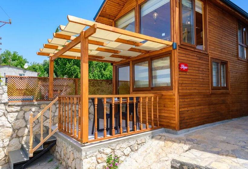 Бунгало Стандарт Вид на Сад, Anatolian Apartments