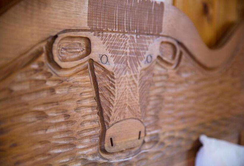 Номер Стандарт, The Longhorn Ranch Resort Lodge & Rv Park