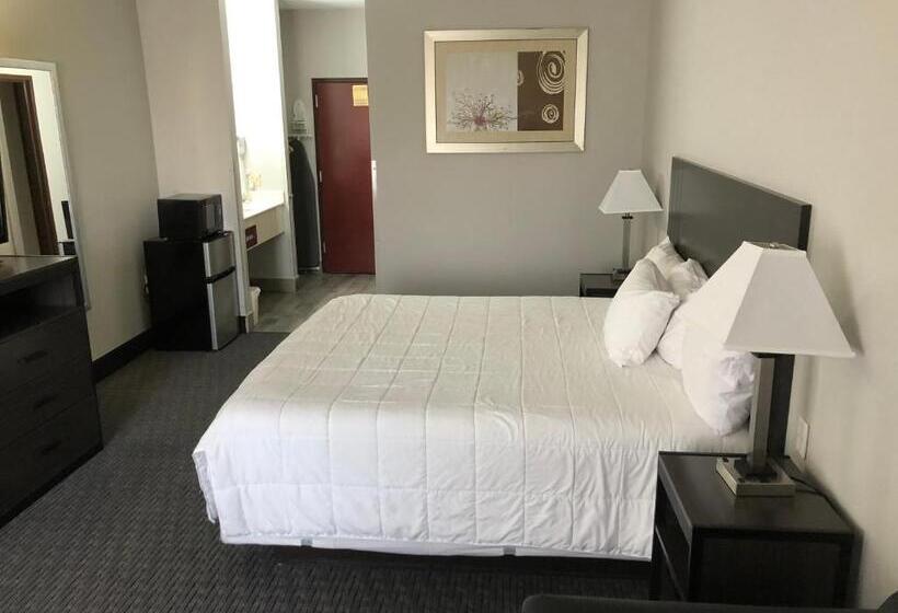 חדר סטנדרט עם מיטת קינג, Lea County Inn