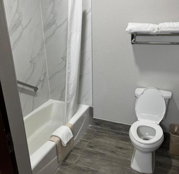 חדר סטנדרט, Lea County Inn