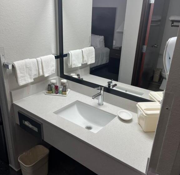 חדר סטנדרט יחיד מותאם לאדם עם מוגבלויות, Lea County Inn